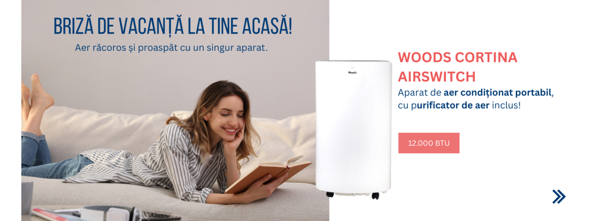 aer conditionat mobil